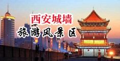 大鸡巴av在线中国陕西-西安城墙旅游风景区